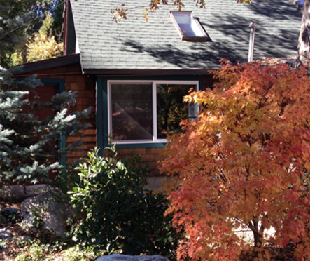 A house with a tree and bushes in front of it