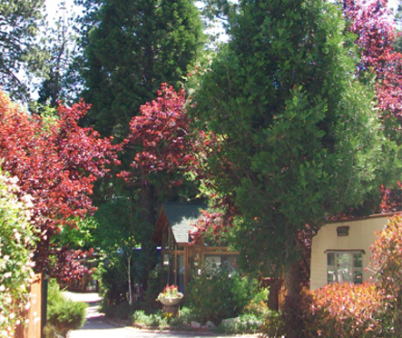 A house with trees in the background