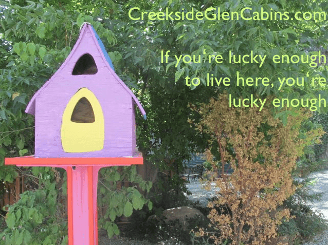 A purple birdhouse with trees in the background