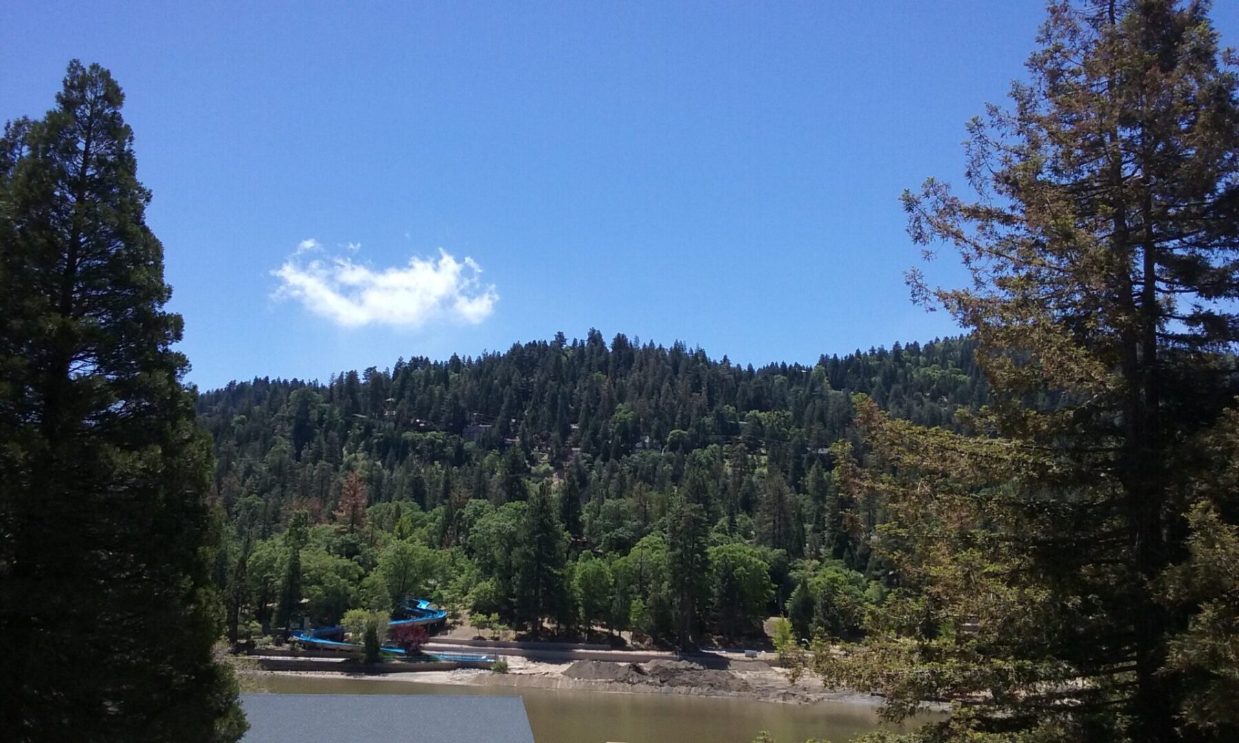 A view of trees and water from the shore.